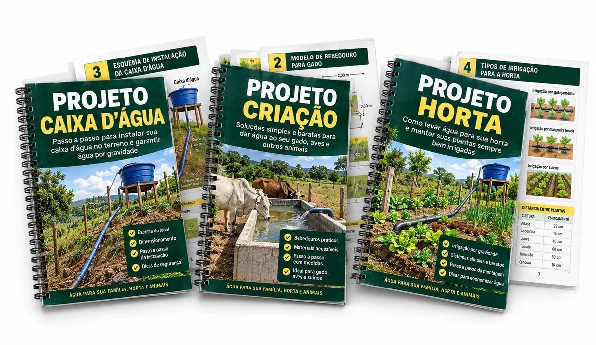 Mockup dos três projetos bônus: caixa d’água, criação e horta
